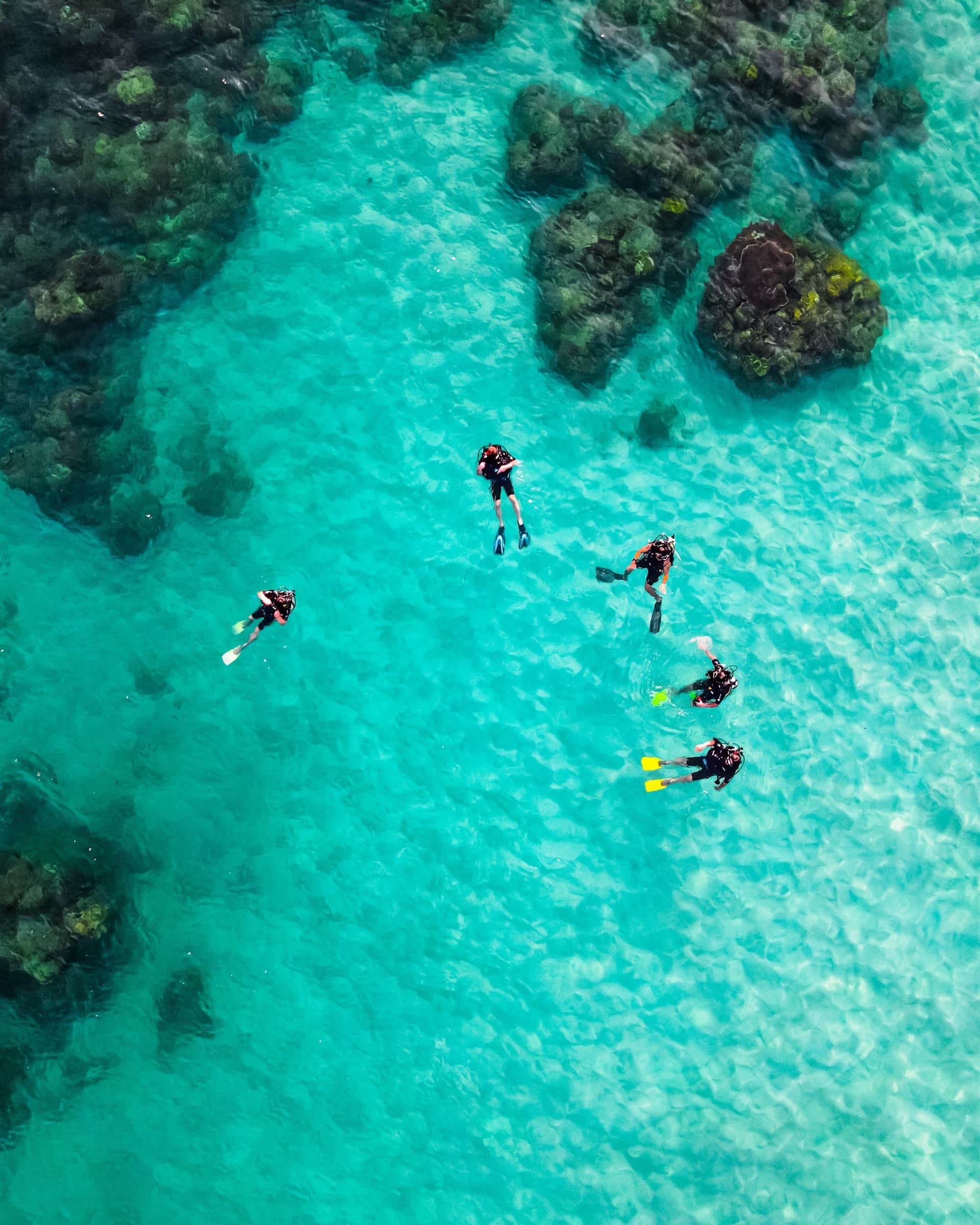 Vue aérienne de plongeurs dans les eaux turquoise de la mer Rouge